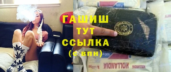 хмурый Бородино