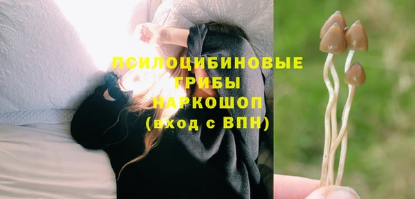 дживик Бронницы