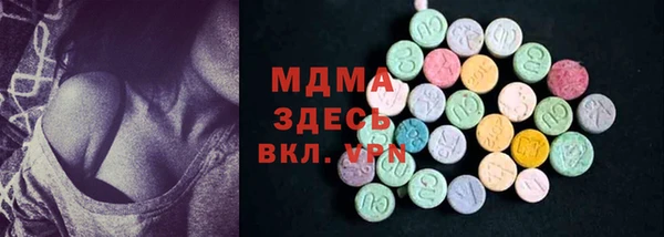 хмурый Бородино