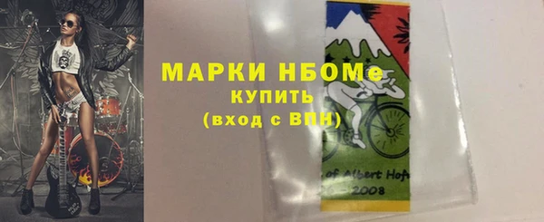 хмурый Бородино