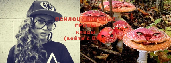 дживик Бронницы