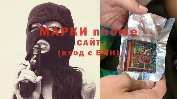 хмурый Бородино