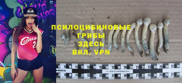 дживик Бронницы