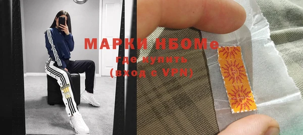 хмурый Бородино