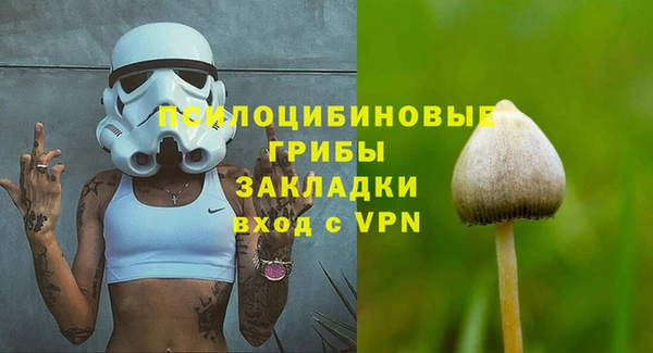 дживик Бронницы