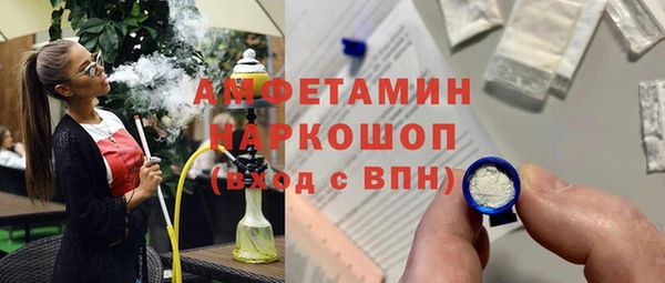 хмурый Бородино