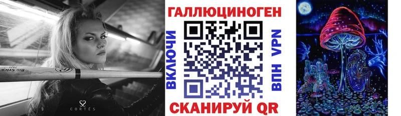 darknet наркотические препараты  Ставрополь  Псилоцибиновые грибы мицелий 